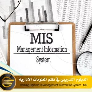 Training Diploma in Management Information System - MIS