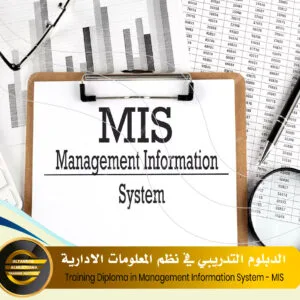 Training Diploma in Management Information System - MIS