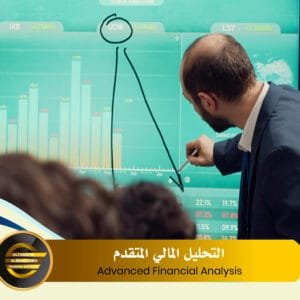 Advanced Financial Analysis