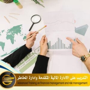 Advanced Training on financial management and risk management