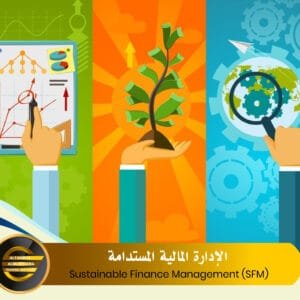 Sustainable Finance Management (SFM)