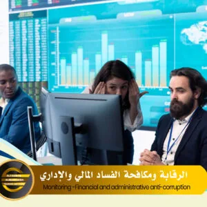Monitoring-Financial and administrative anti-corruption