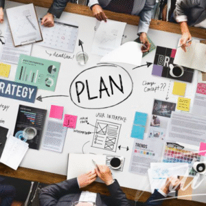 Formulation of the Action Plan